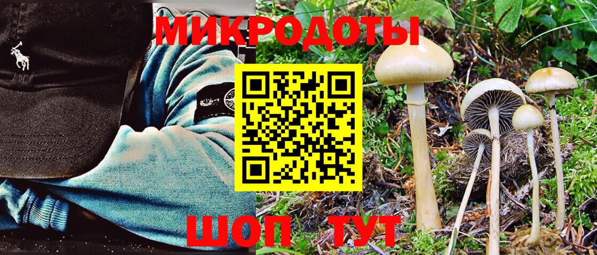 Галлюциногенные грибы GOLDEN TEACHER Сальск