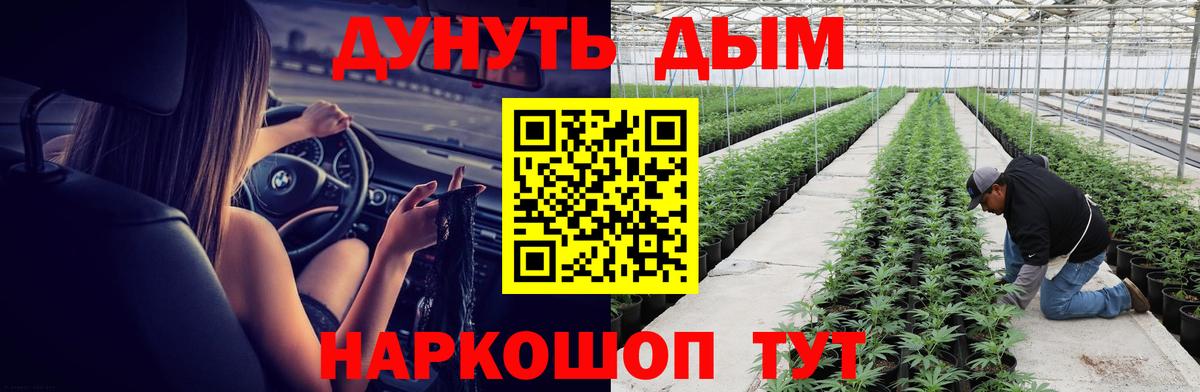 Бошки Шишки индика  Вход с VPN  Сальск  Конопля гибрид  Бошки Шишки THC 21% 